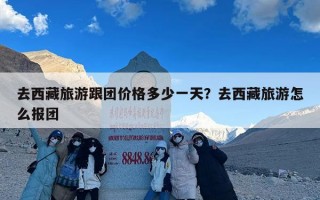 去西藏旅游跟团价格多少一天？去西藏旅游怎么报团