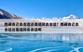 西藏自己去合适还是组团去合适？西藏自己去合适还是组团去合适呢