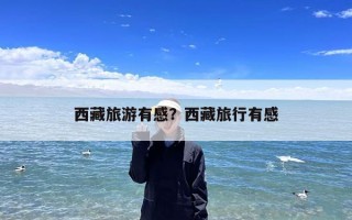 西藏旅游有感？西藏旅行有感