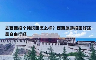 去西藏报个纯玩团怎么样？西藏旅游报团好还是自由行好