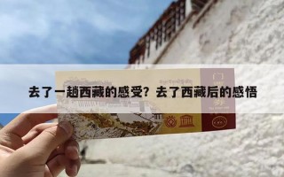 去了一趟西藏的感受？去了西藏后的感悟