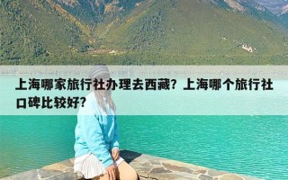 上海哪家旅行社办理去西藏？上海哪个旅行社口碑比较好?