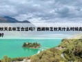 秋天去林芝合适吗？西藏林芝秋天什么时候去好