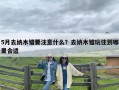 5月去纳木错要注意什么？去纳木错玩住到哪里合适
