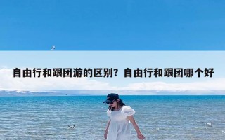 自由行和跟团游的区别？自由行和跟团哪个好