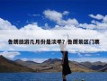 鲁朗旅游几月份是淡季？鲁朗景区门票