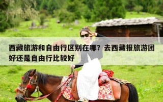 西藏旅游和自由行区别在哪？去西藏报旅游团好还是自由行比较好