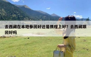 去西藏在本地参团好还是携程上好？去西藏跟团好吗