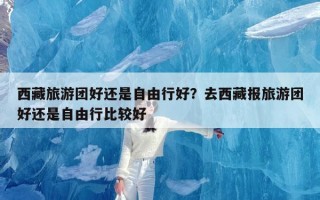 西藏旅游团好还是自由行好？去西藏报旅游团好还是自由行比较好