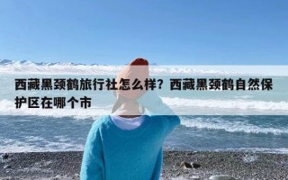 西藏黑颈鹤旅行社怎么样？西藏黑颈鹤自然保护区在哪个市