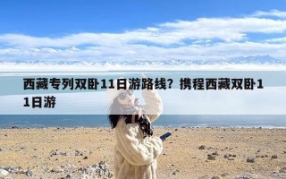 西藏专列双卧11日游路线？携程西藏双卧11日游