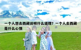 一个人想去西藏说明什么道理？一个人去西藏是什么心情