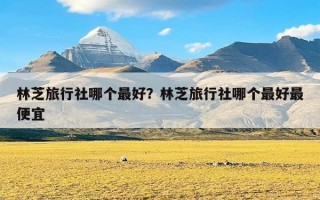 林芝旅行社哪个最好？林芝旅行社哪个最好最便宜