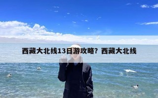 西藏大北线13日游攻略？西藏大北线