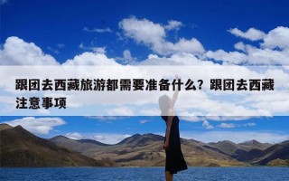 跟团去西藏旅游都需要准备什么？跟团去西藏注意事项