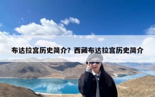 布达拉宫历史简介？西藏布达拉宫历史简介