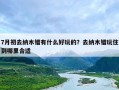 7月初去纳木错有什么好玩的？去纳木错玩住到哪里合适