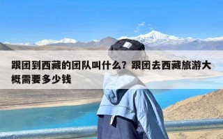 跟团到西藏的团队叫什么？跟团去西藏旅游大概需要多少钱