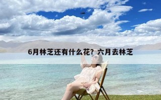 6月林芝还有什么花？六月去林芝