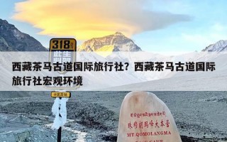 西藏茶马古道国际旅行社？西藏茶马古道国际旅行社宏观环境