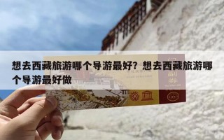 想去西藏旅游哪个导游最好？想去西藏旅游哪个导游最好做
