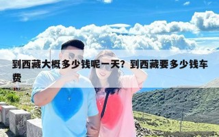 到西藏大概多少钱呢一天？到西藏要多少钱车费