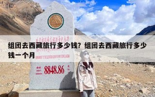 组团去西藏旅行多少钱？组团去西藏旅行多少钱一个月