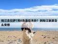 阳江去拉萨7天6夜最佳月份？到阳江旅游怎么安排