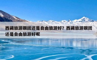 西藏旅游跟团还是自由旅游好？西藏旅游跟团还是自由旅游好呢