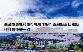 西藏旅游社和旅行社哪个好？西藏旅游社和旅行社哪个好一点