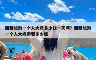 西藏旅游一个人大概多少钱一天啊？西藏旅游一个人大概需要多少钱