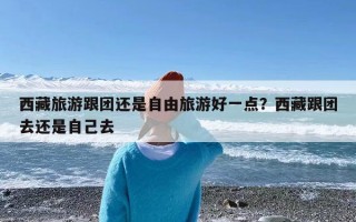 西藏旅游跟团还是自由旅游好一点？西藏跟团去还是自己去