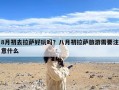 8月初去拉萨好玩吗？八月初拉萨旅游需要注意什么