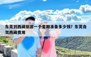 东莞到西藏旅游一个星期准备多少钱？东莞自驾西藏费用