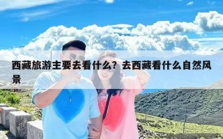 西藏旅游主要去看什么？去西藏看什么自然风景