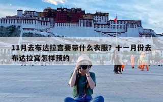 11月去布达拉宫要带什么衣服？十一月份去布达拉宫怎样预约