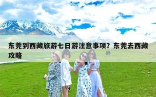 东莞到西藏旅游七日游注意事项？东莞去西藏攻略