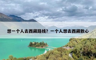 想一个人去西藏路线？一个人想去西藏散心