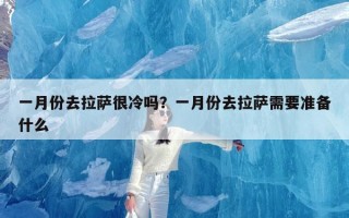 一月份去拉萨很冷吗？一月份去拉萨需要准备什么