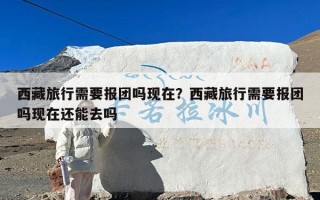 西藏旅行需要报团吗现在？西藏旅行需要报团吗现在还能去吗