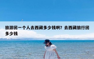 旅游团一个人去西藏多少钱啊？去西藏旅行团多少钱