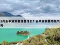 2月去羊湖需要准备什么？去羊湖需要带氧气吗