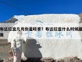 布达拉宫几月份是旺季？布达拉宫什么时候最美