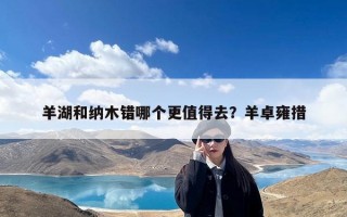 羊湖和纳木错哪个更值得去？羊卓雍措