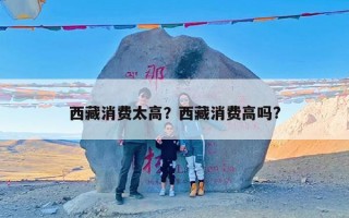 西藏消费太高？西藏消费高吗?