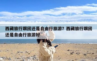 西藏旅行跟团还是自由行旅游？西藏旅行跟团还是自由行旅游好