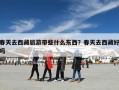 春天去西藏旅游带些什么东西？春天去西藏好吗