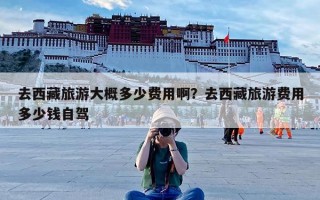 去西藏旅游大概多少费用啊？去西藏旅游费用多少钱自驾