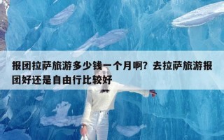 报团拉萨旅游多少钱一个月啊？去拉萨旅游报团好还是自由行比较好