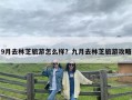 9月去林芝旅游怎么样？九月去林芝旅游攻略